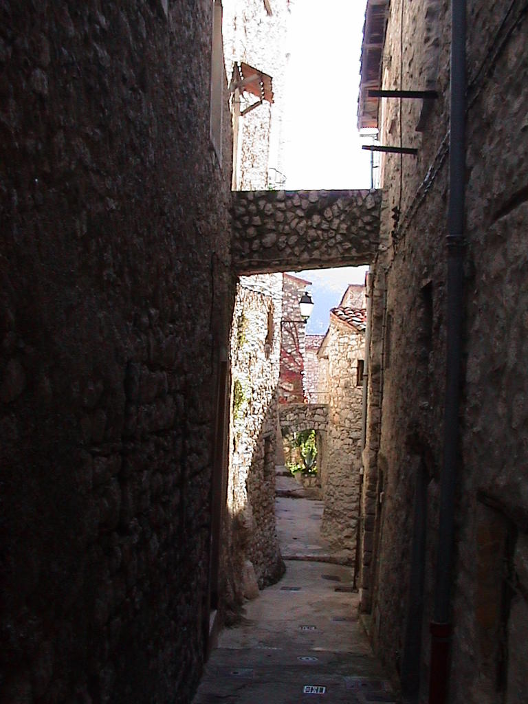 dsc00036.jpg