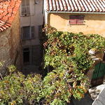 dsc00039.jpg