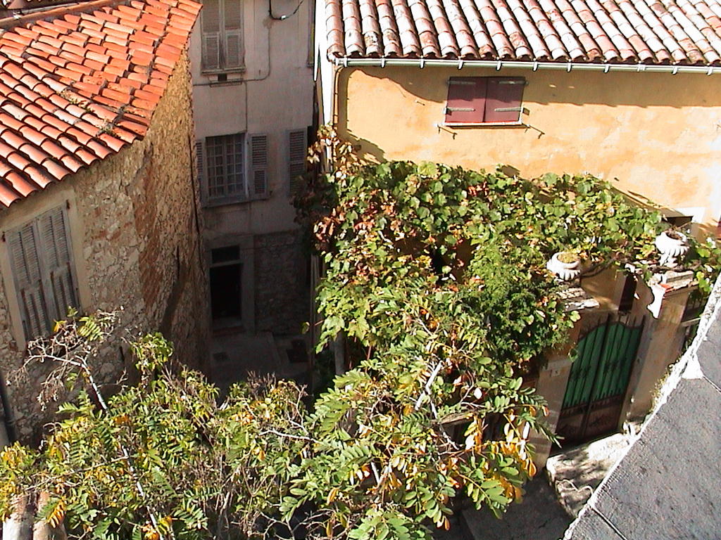 dsc00039.jpg