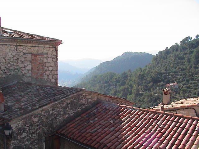 dsc00040.jpg