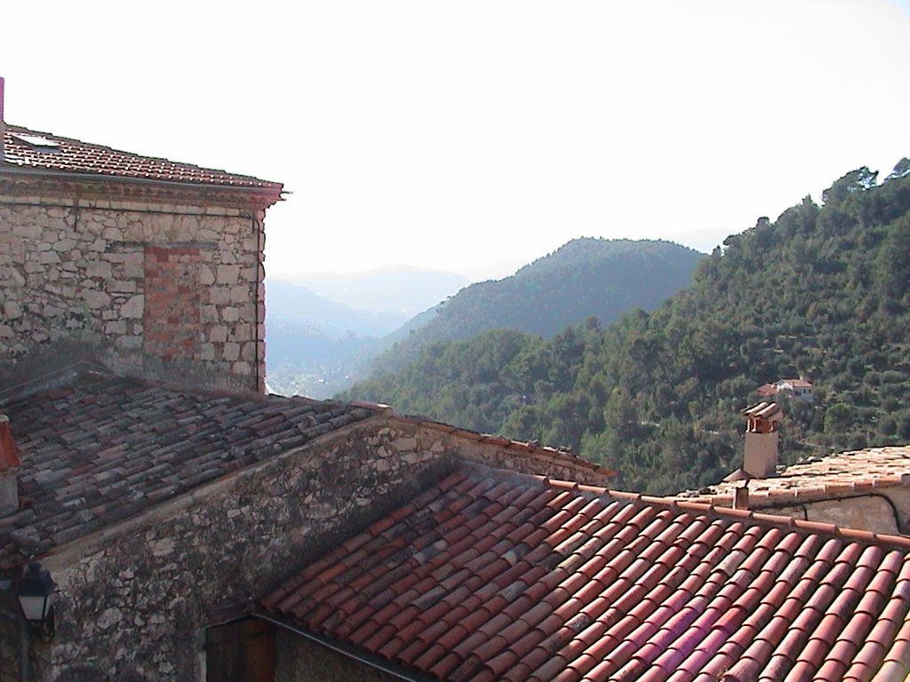 dsc00040.jpg