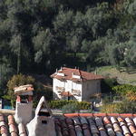 dsc00041.jpg
