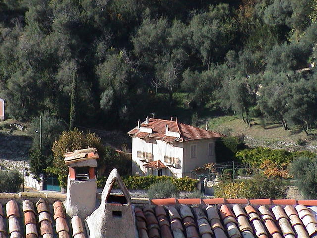 dsc00041.jpg