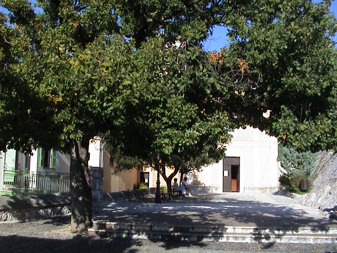 dsc00042.jpg