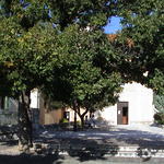 dsc00042.jpg