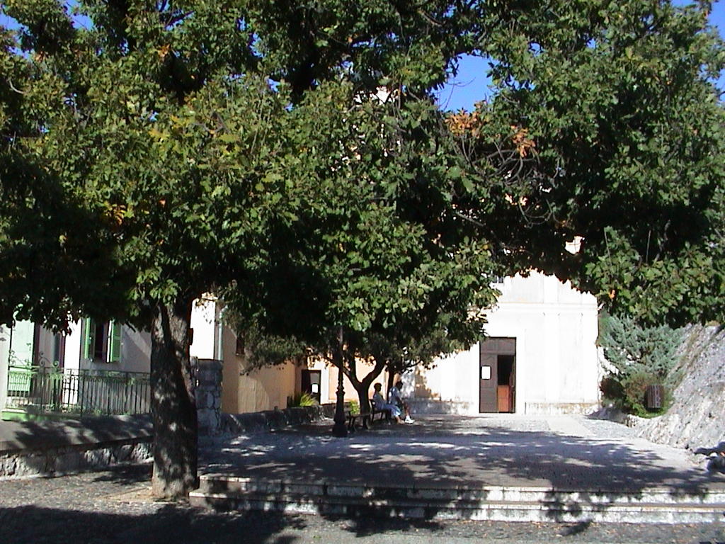 dsc00042.jpg