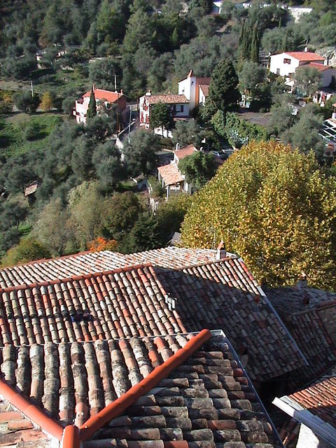 dsc00045.jpg