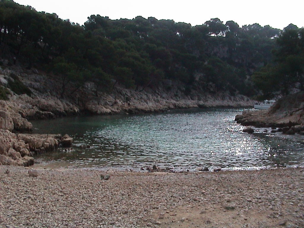 dsc00049.jpg