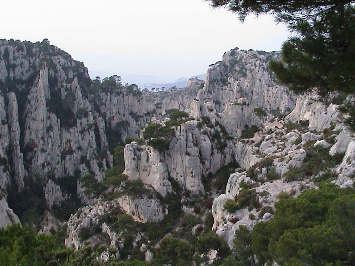 dsc00056.jpg