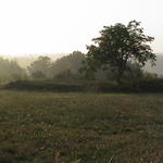 dsc00004.jpg