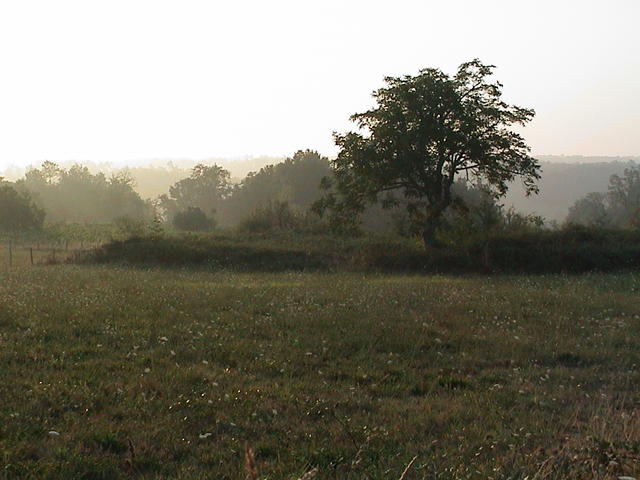 dsc00004.jpg