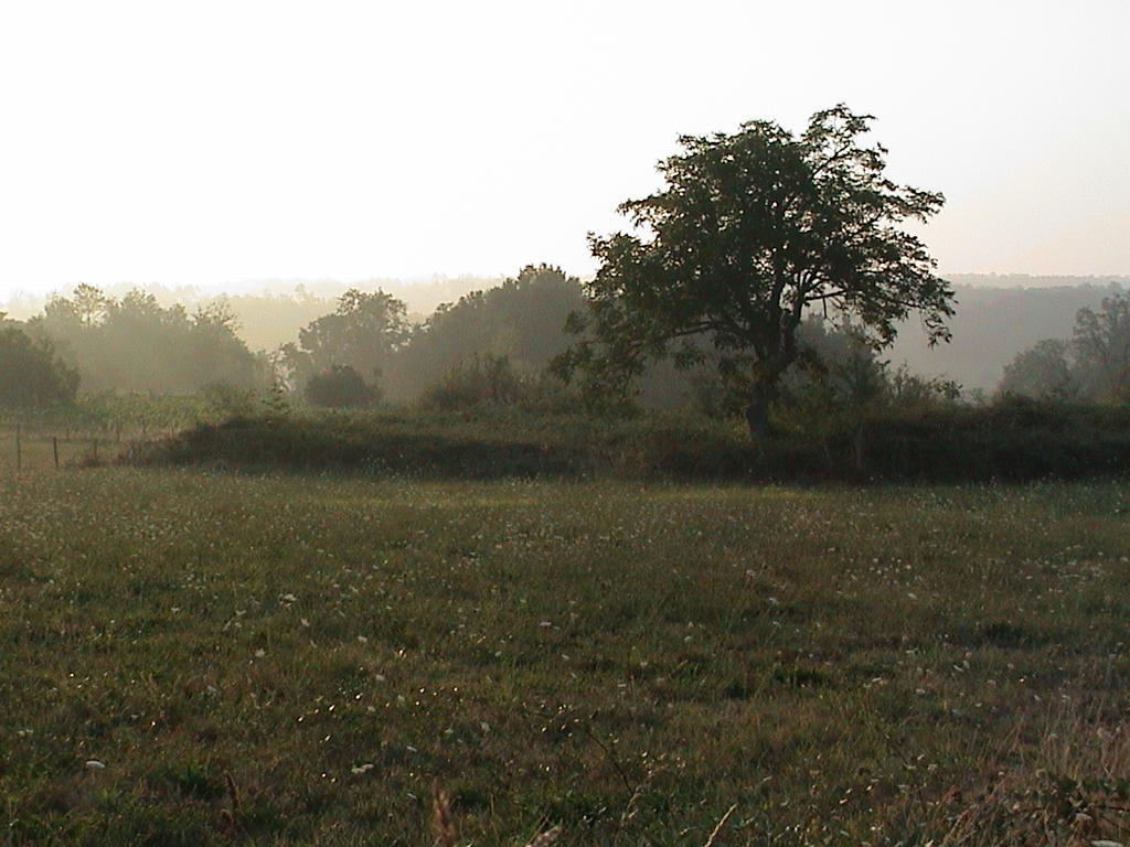 dsc00004.jpg