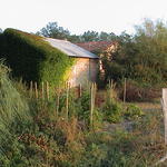 dsc00007.jpg