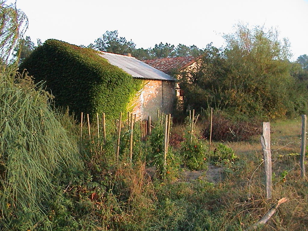 dsc00007.jpg