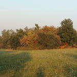 dsc00008.jpg