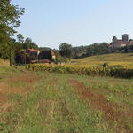 dsc00009.jpg