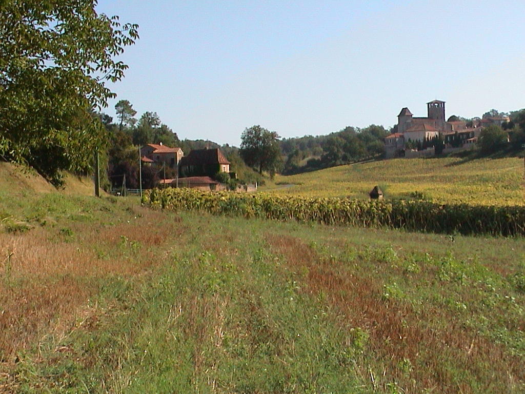 dsc00009.jpg