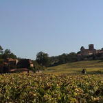 dsc00010.jpg