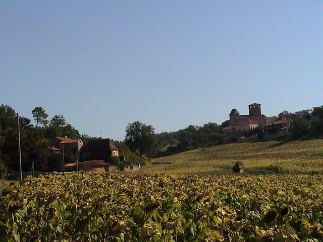 dsc00010.jpg
