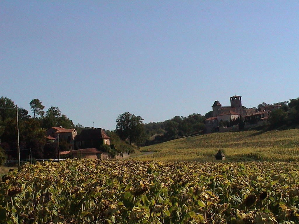 dsc00010.jpg
