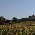 dsc00011.jpg