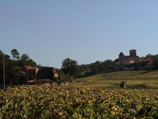 dsc00011.jpg