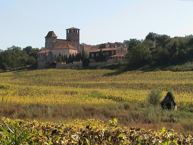 dsc00012.jpg