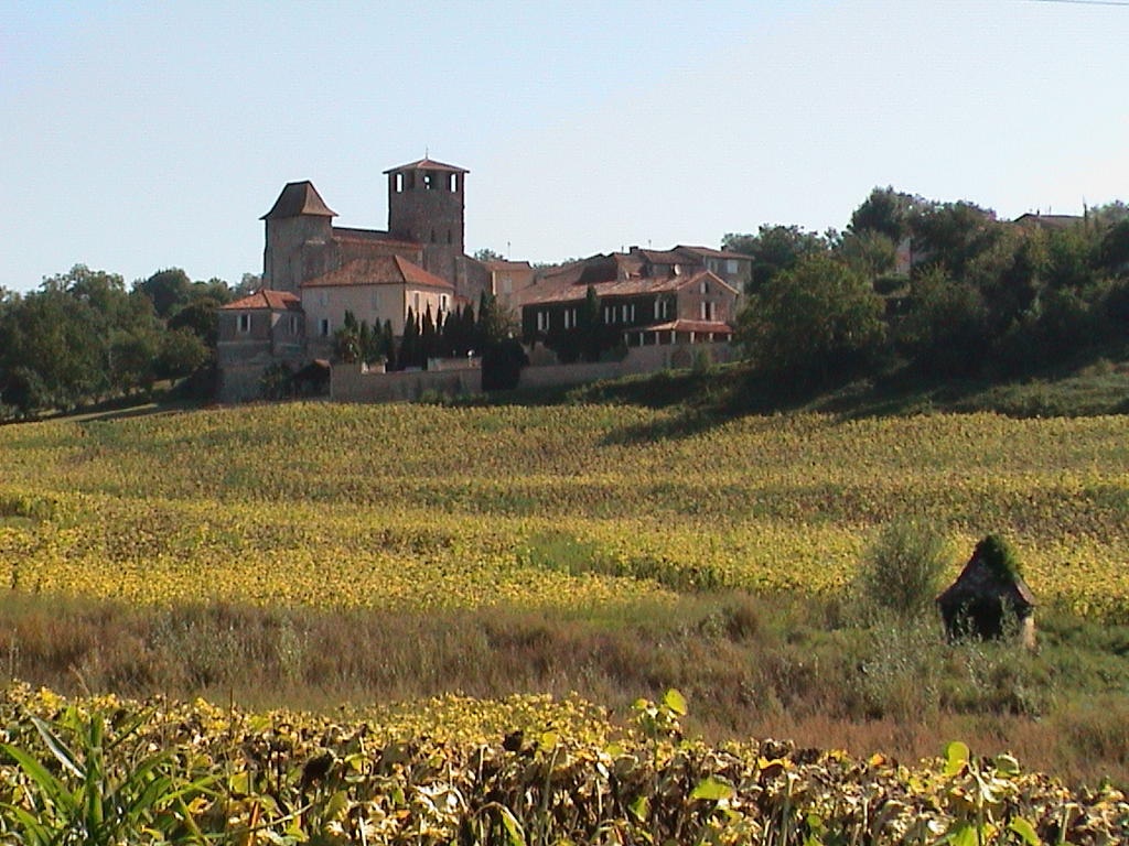dsc00012.jpg