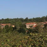 dsc00014.jpg