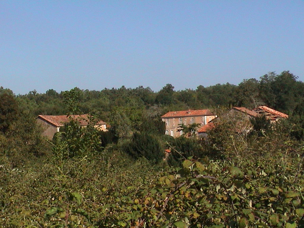 dsc00014.jpg