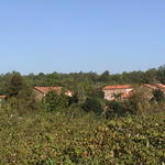 dsc00015.jpg