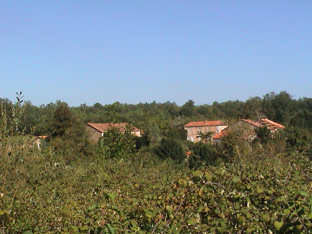 dsc00015.jpg