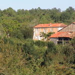 dsc00016.jpg
