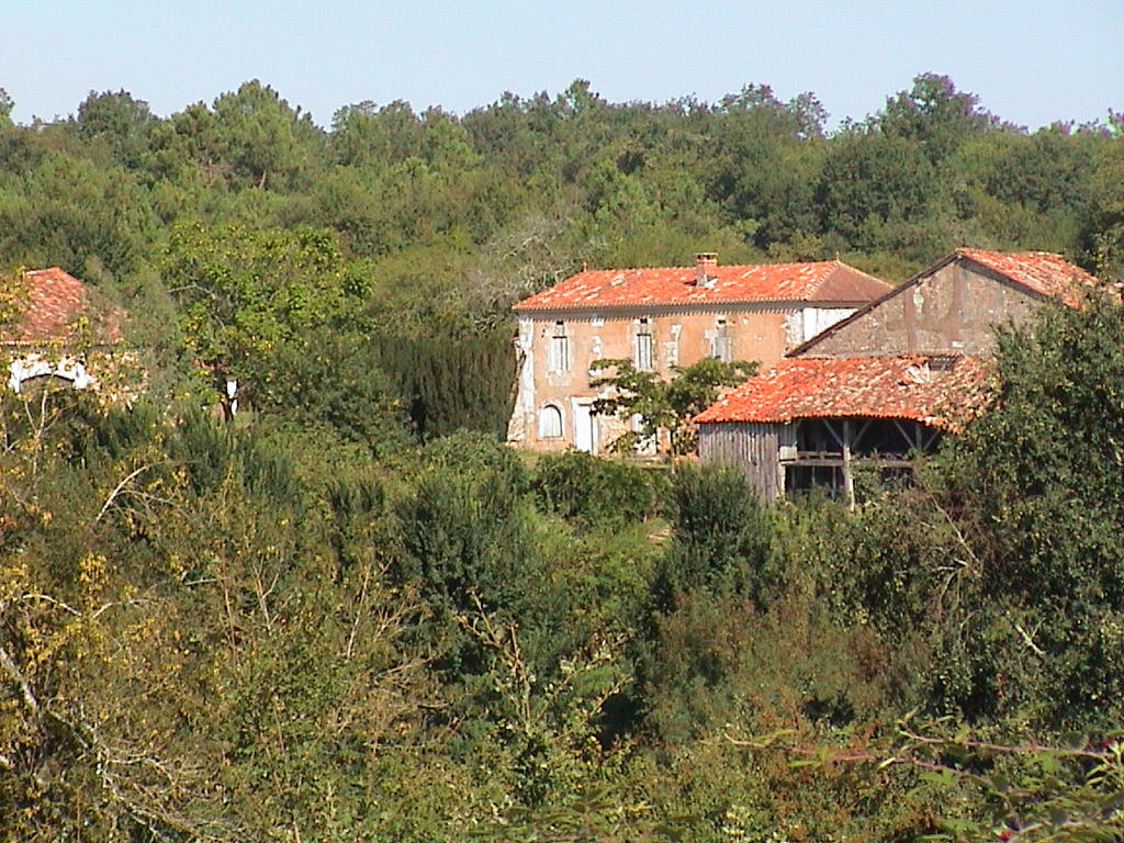 dsc00016.jpg