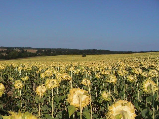 dsc00023.jpg
