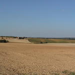 dsc00024.jpg