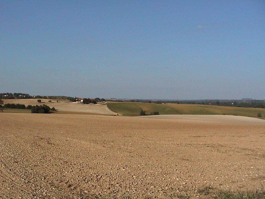 dsc00024.jpg