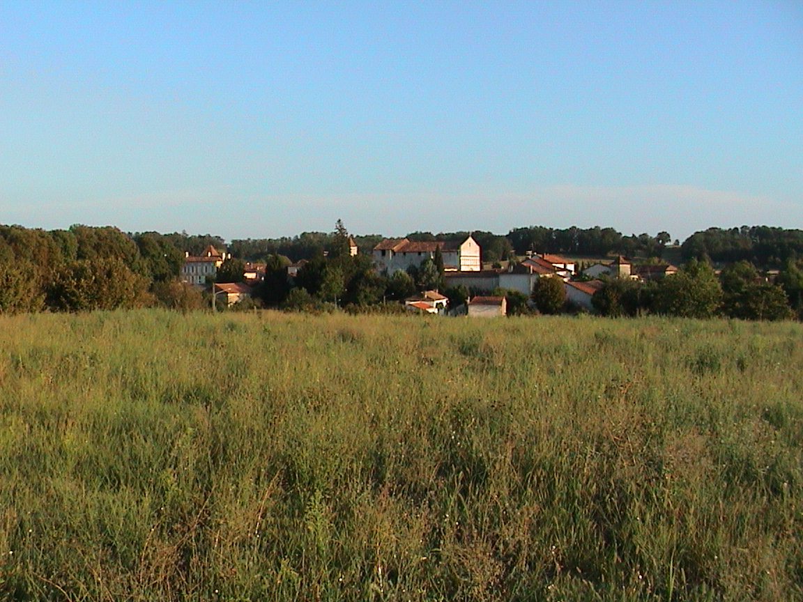 dsc00031.jpg