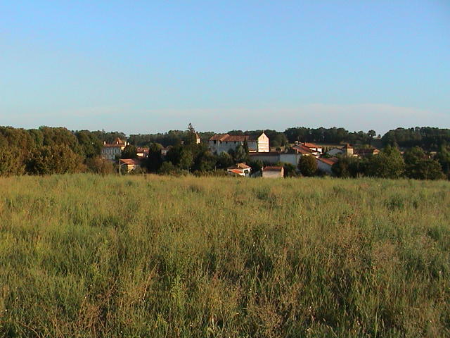 dsc00031.jpg