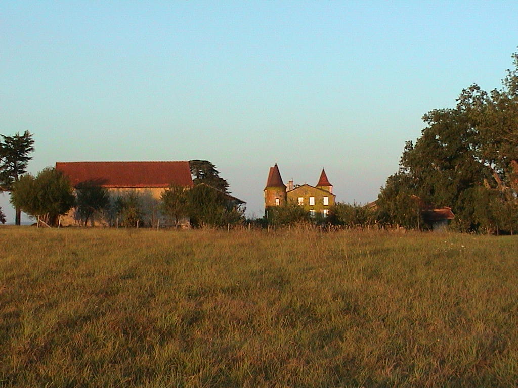 dsc00036.jpg