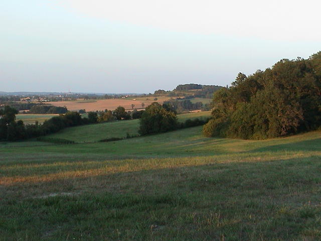 dsc00038.jpg