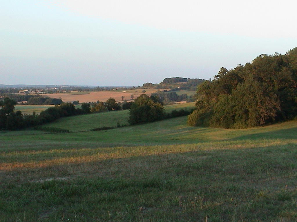 dsc00038.jpg