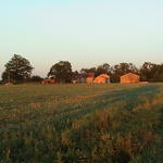 dsc00039.jpg