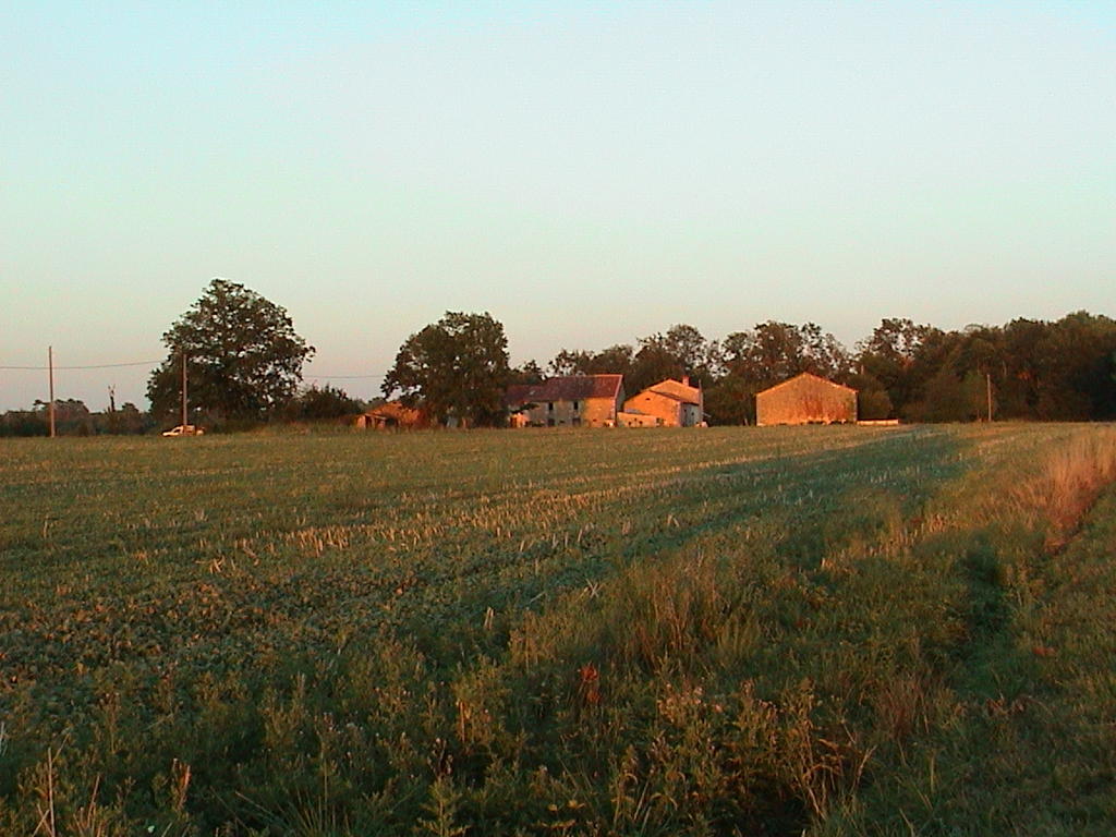 dsc00039.jpg