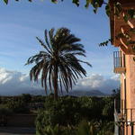 dsc00042.jpg