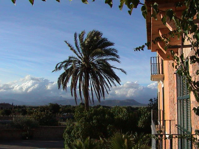 dsc00042.jpg