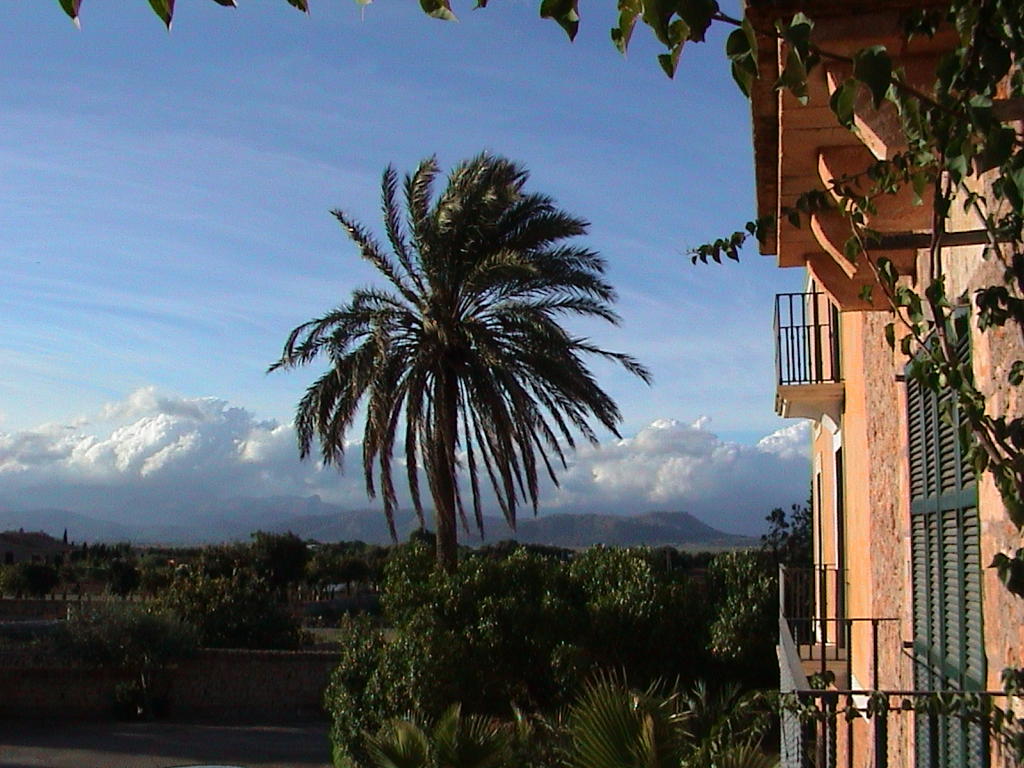 dsc00042.jpg