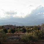 dsc00043.jpg