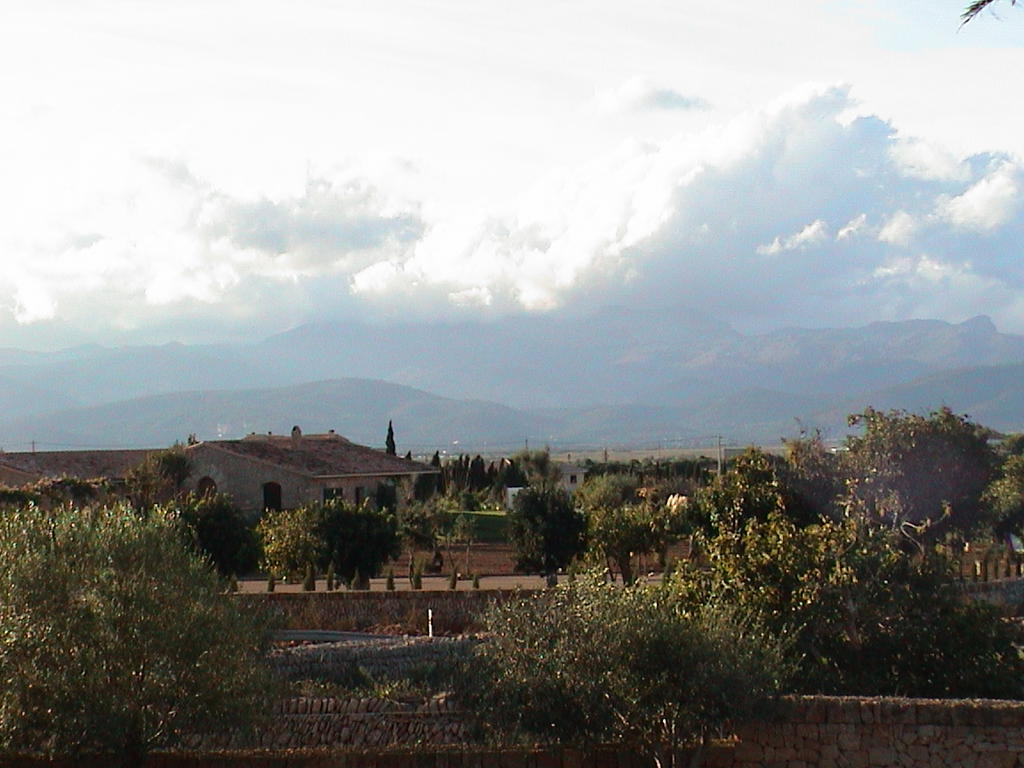 dsc00043.jpg