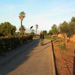 dsc00044.jpg